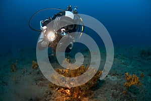 Woman diver pointing lamp at reef.