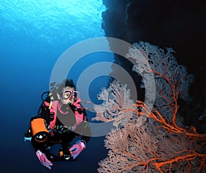 Woman Diver and Sea Fan