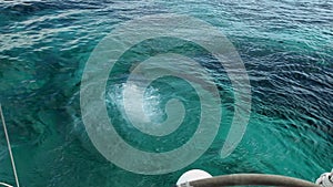 Woman diving and swimming in sea from boat