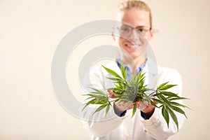 Woman doctor holding a cannabis leaf and oil.alternative medicine