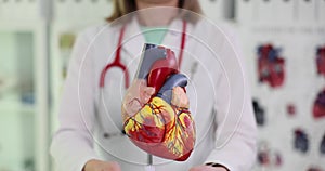 Woman doctor shows artificial model of human heart at lesson