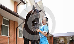 Woman doctor veterinarian stroking thoroughbred horses on farm