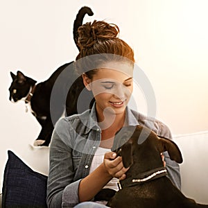 Woman, dog and cat on sofa for animal, pet and together indoor for bonding, affection and friendship. Puppy, lady or