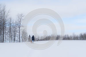 Woman and Dog - Dreamy Winter Landscape