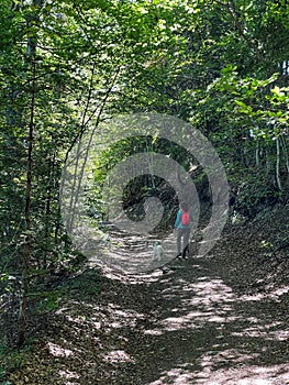 Woman with a dog hiking