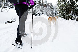 Woman and dog, Karkonosze Mountains, Poland