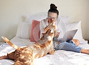 Woman, dog and kiss in a bedroom with remote work, laptop and bonding of rescue animal in a house. Pet, happy and