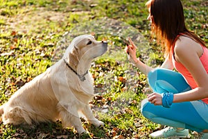 Woman and dog in park