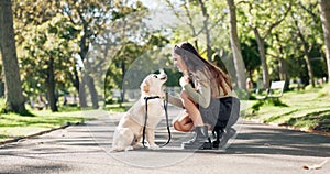 Woman, dog or pet for feeding outdoor in road with treats, snack and comfort for reward and walking in park. Animal