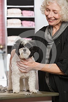 Woman and dog at pet grooming salon