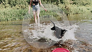 A woman and a dog playing with frisbee on the river