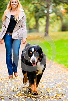 Woman and dog at retrieving stick game