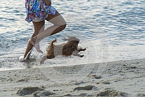 Woman and dog running free on beach on sunset. Happy girl and her pet play out together , Thailand