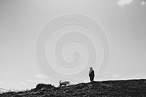 Woman and dog silhouettes on a cliff edge