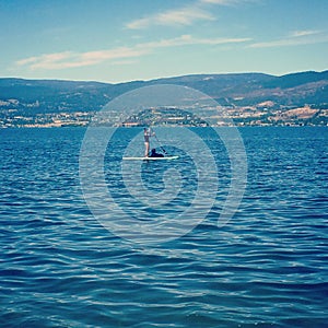 Woman and dog on wakeboard in water