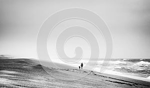 Woman and a dog walking along the beach and waves pound the shore