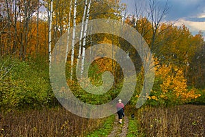 Woman and Dog Walking in Autumn Forest