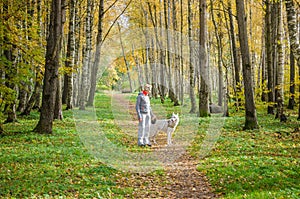 Woman with dog walking in the birch alley, sunny autumn day