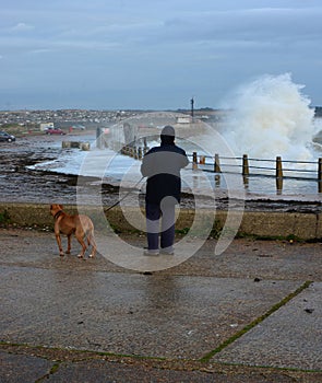 Woman and dog watching crashing waves of a winter storm