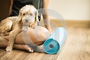 A woman and a dog in yoga class