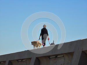 Woman with dogs