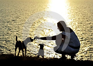 Woman and dogs Silhouette summer beach sunset at the sea playing together