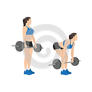Woman doing Barbell deadlifts exercise. Flat vector