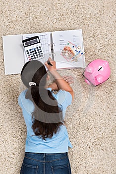 Woman Doing Calculation At Home