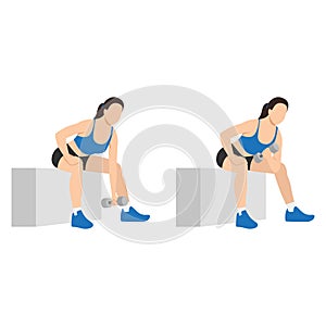 Woman doing Concentration curl exercise. Flat vector
