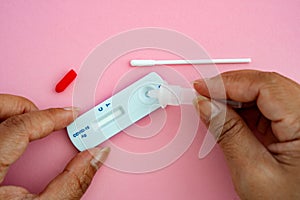 A woman doing Covid-19 Self test. Hand holding coronavirus antigen selftest kit on pink background. Antigen rapid test kit of Cov