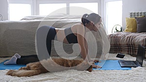 Woman doing exercise workout online personal trainer watching an online course on the computer and Maine Coon cat is