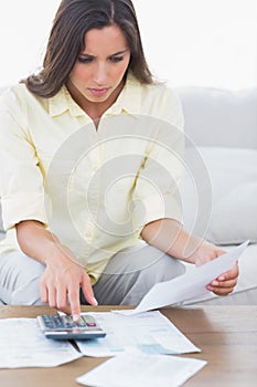 Woman doing her accounts