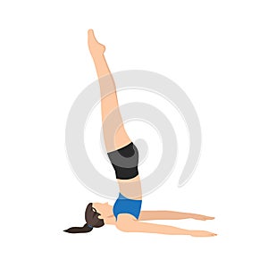 Woman doing Shoulderstand Seal Pose. Beautiful girl practice Salamba Sarvang