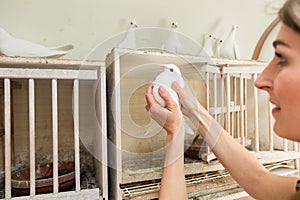 Woman with dove in pigeon loft