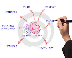 Woman drawing business process, marketing mix