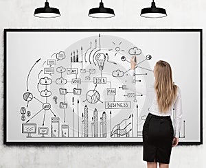 Woman drawing a business scheme on whiteboard