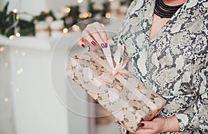 Woman in dress coloring Python holding a Christmas gift. Light background