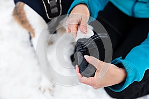 Woman dressing dog booties or shoes at the dog paws, protection at winter season