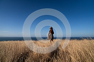 A woman on dried Grass flower in meadow with sun lights