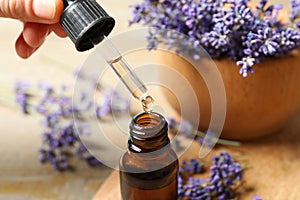 Woman dripping lavender essential oil into bottle, closeup
