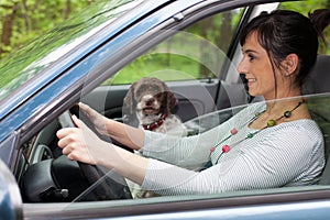 Woman driving car with a dog