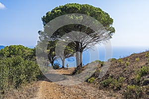 Woman with e bike on Elba Island, Italy