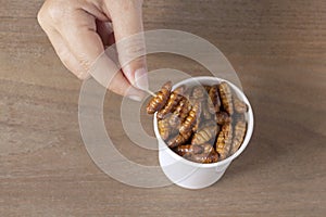 Woman eating Insects Silkworm Pupae Bombyx Mori. Her hand holding disposable cup which containing worm snack deep-fried for take