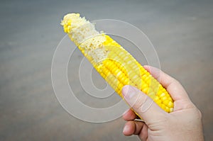 woman eats boiled corn in hand