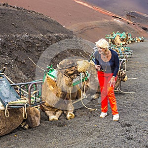 Woman ejnjoys looking to camels for a camel ride