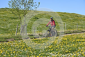 Woman on electric mountain bike in blooming meadow