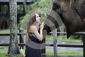 Woman with the elephant, treats, and pats him on the snout, with