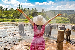 Woman and elephants in Sri Lanka