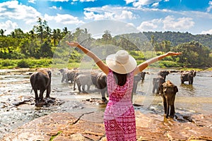 Woman and elephants in Sri Lanka