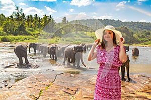 Woman and elephants in Sri Lanka